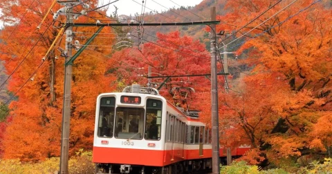 6 Days Rail Experience (Osaka, Kyoto, Ryokan Stay)