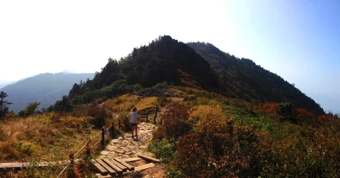 3D Hike Mount Jiri