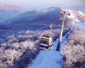 8D7N Korea’s Winter Enchantment