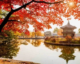 9D7N Autumn Brilliance of Korea