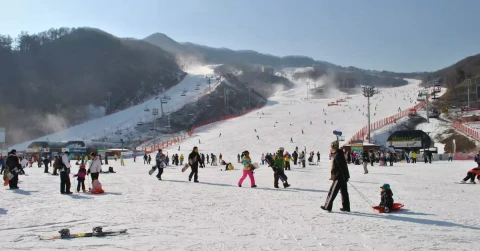 8D Winter of Korea-Jeju