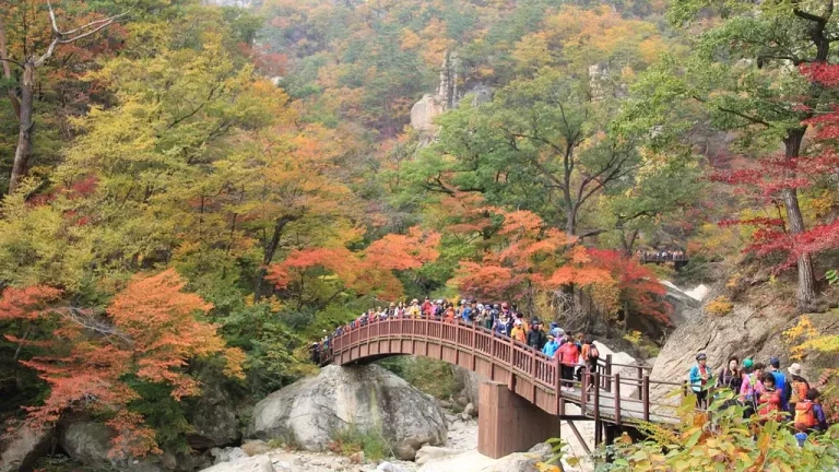 Seoraksan-National-Park-south-korea