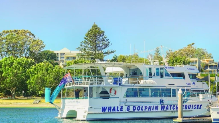 Dolphin-watch-cruise
