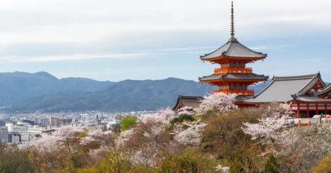 7D6N Spring Delights – Nostalgic Kyoto Small Private Group Tour