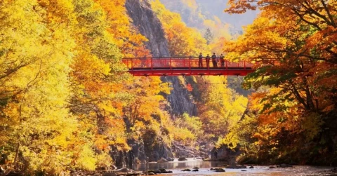 10D7N Autumn Beauty in East South Hokkaido & North Japan
