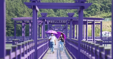 8d-6n7n-amazing-in-jeollanamdo-korea-purple-island