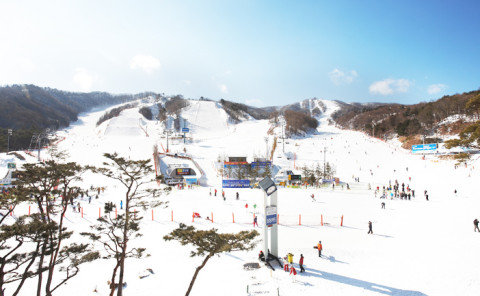 8/9D 7N Korea Winter Wonderland + Jeju