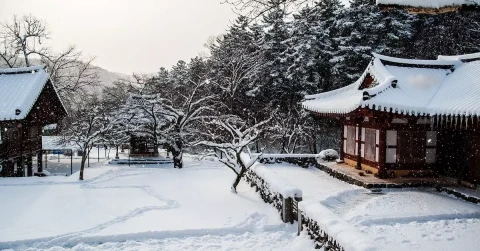 8D 6N Winter Holiday (Busan) Korea