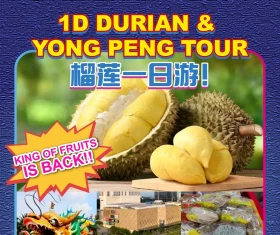 1D Durian & Yong Peng Tour