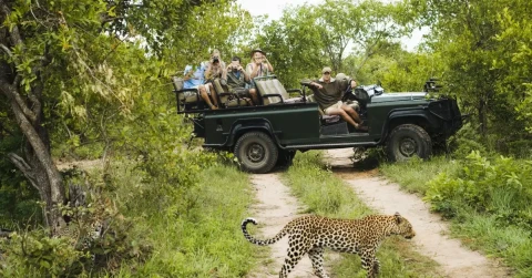 11D South Africa Explorer with Game Reserve