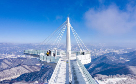 8D Korea Winter Ski Experience (Muslim Friendly)