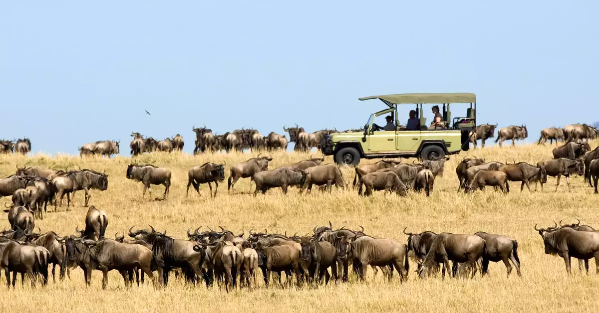 12D9N Kenya Tanzania Animal Migration